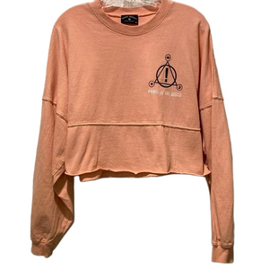 PANIC AT THE DISCO Spirit Jersey Long Sleeve Crop Top Size Medium